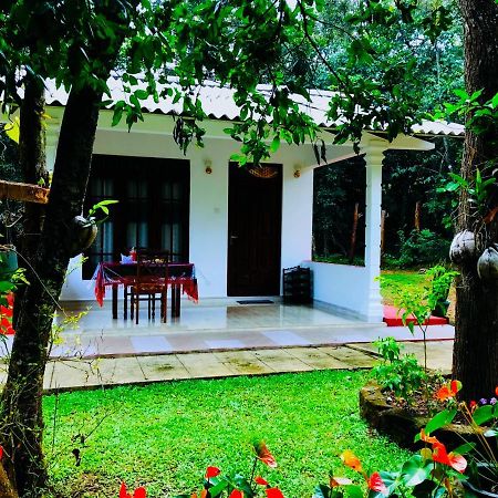 Holly Flowers Villa Sigiriya Bagian luar foto