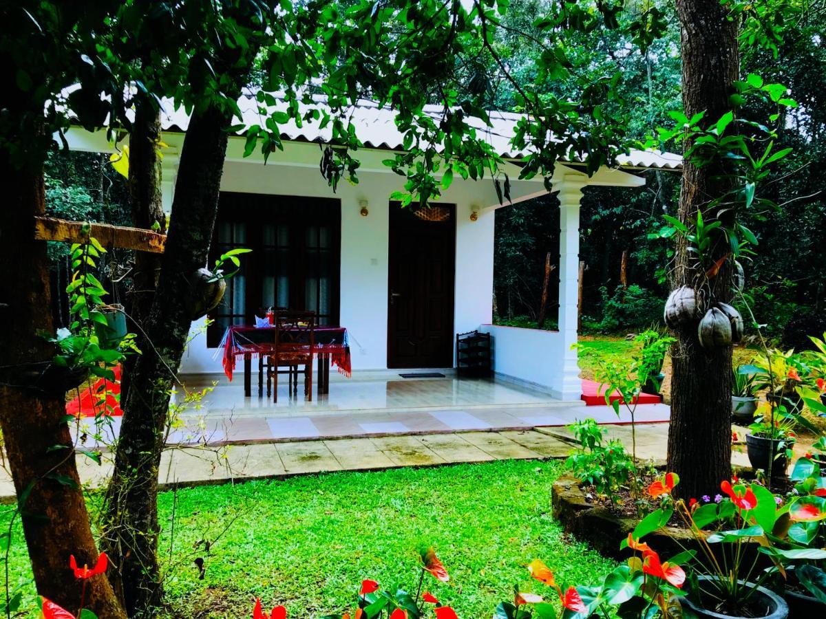 Holly Flowers Villa Sigiriya Bagian luar foto